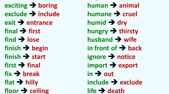 English Words and Opposites List – English Grammar Here