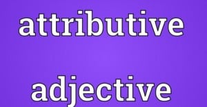 Attributive Adjective : Pengertian, Penjelasan serta Contoh dalam Kalimat Bahasa Inggris