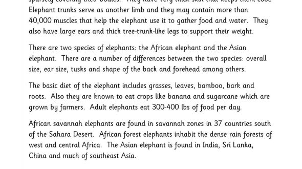 Elephant information text | KS2 English | Text type
