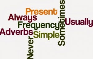 Midsentence Adverbs : Pengertian, Jenis dan Contoh dalam Kalimat Bahasa Inggris
